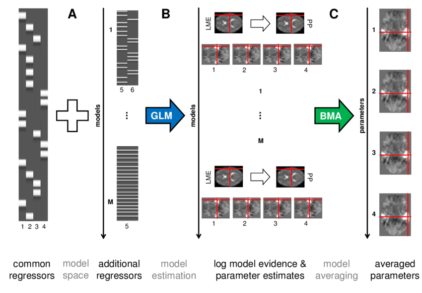 fMRI data processing pipeline